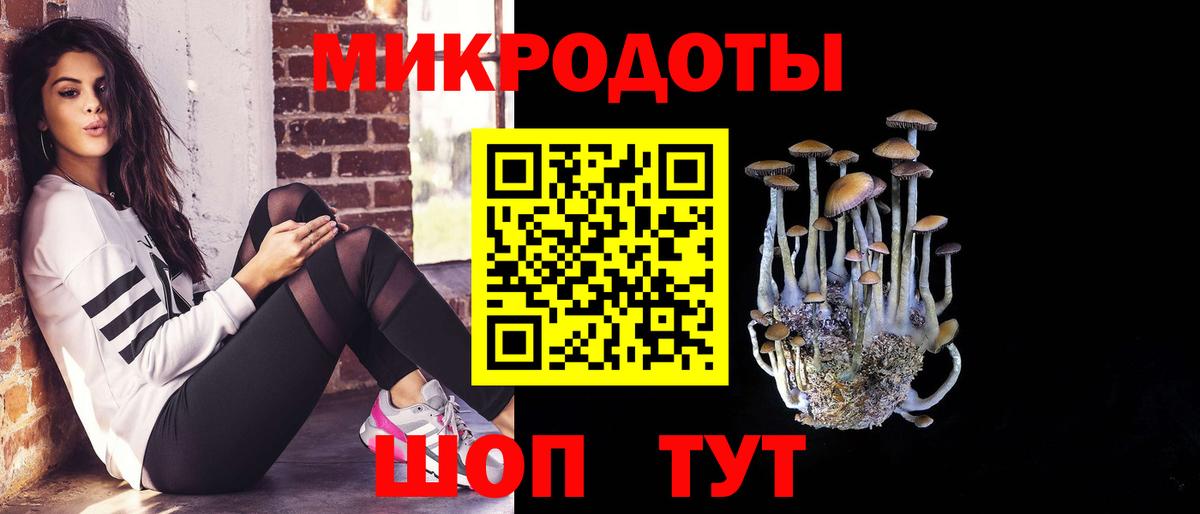 Галлюциногенные грибы прущие грибы  Вход с VPN  Новокуйбышевск  Псилоцибиновые грибы Cubensis 